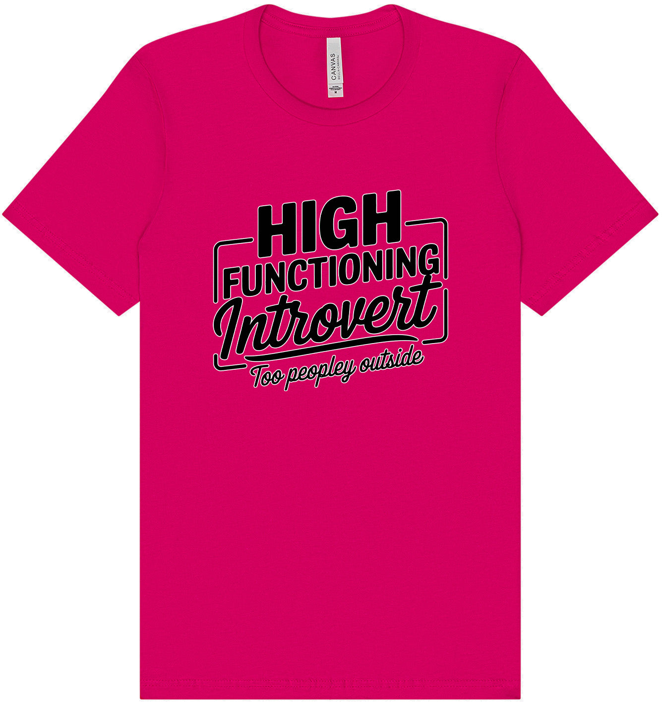 High Functioning Introvert Adult Bella Canvas Shirt