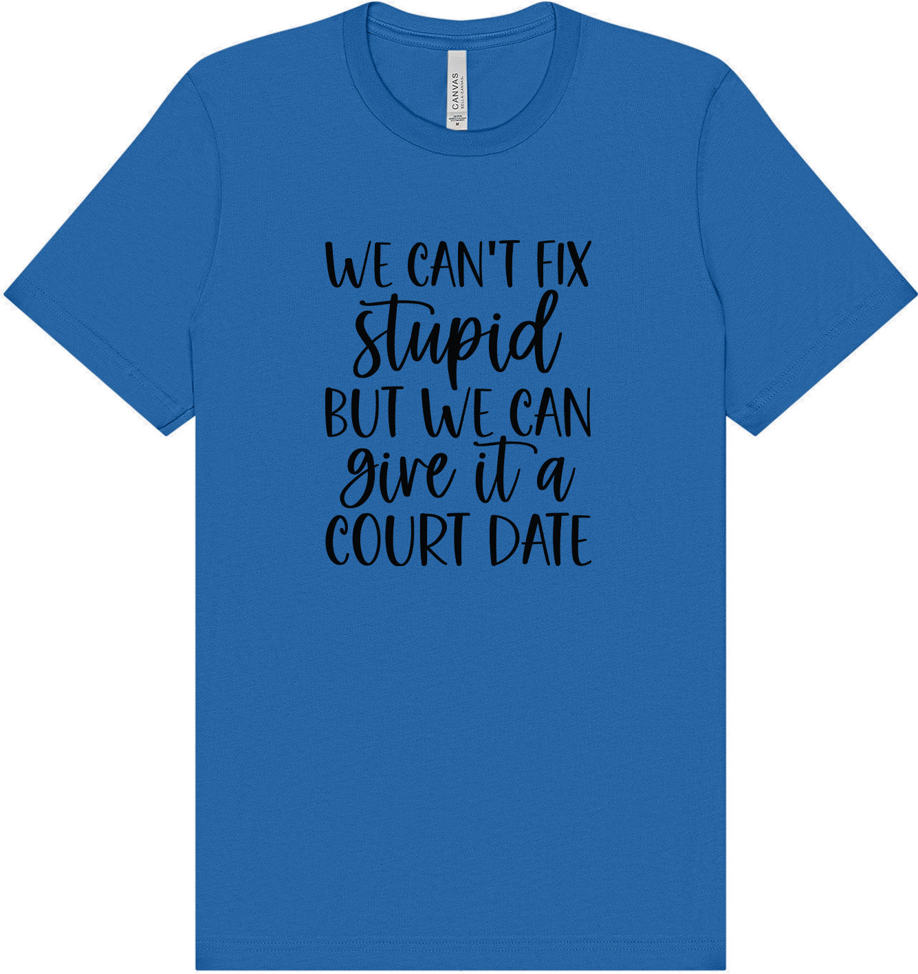 We Can't Fix Stupid but We Can Give it a Court Date Adult Bella Canvas Shirt