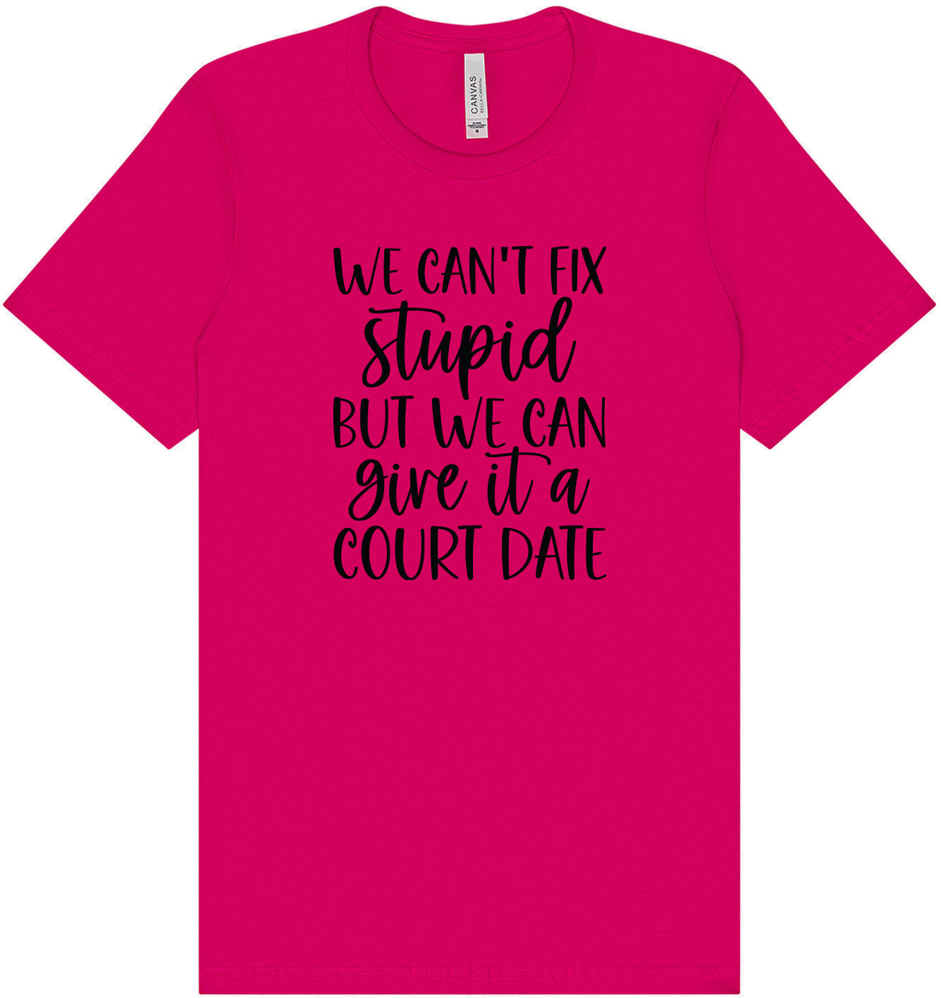We Can't Fix Stupid but We Can Give it a Court Date Adult Bella Canvas Shirt