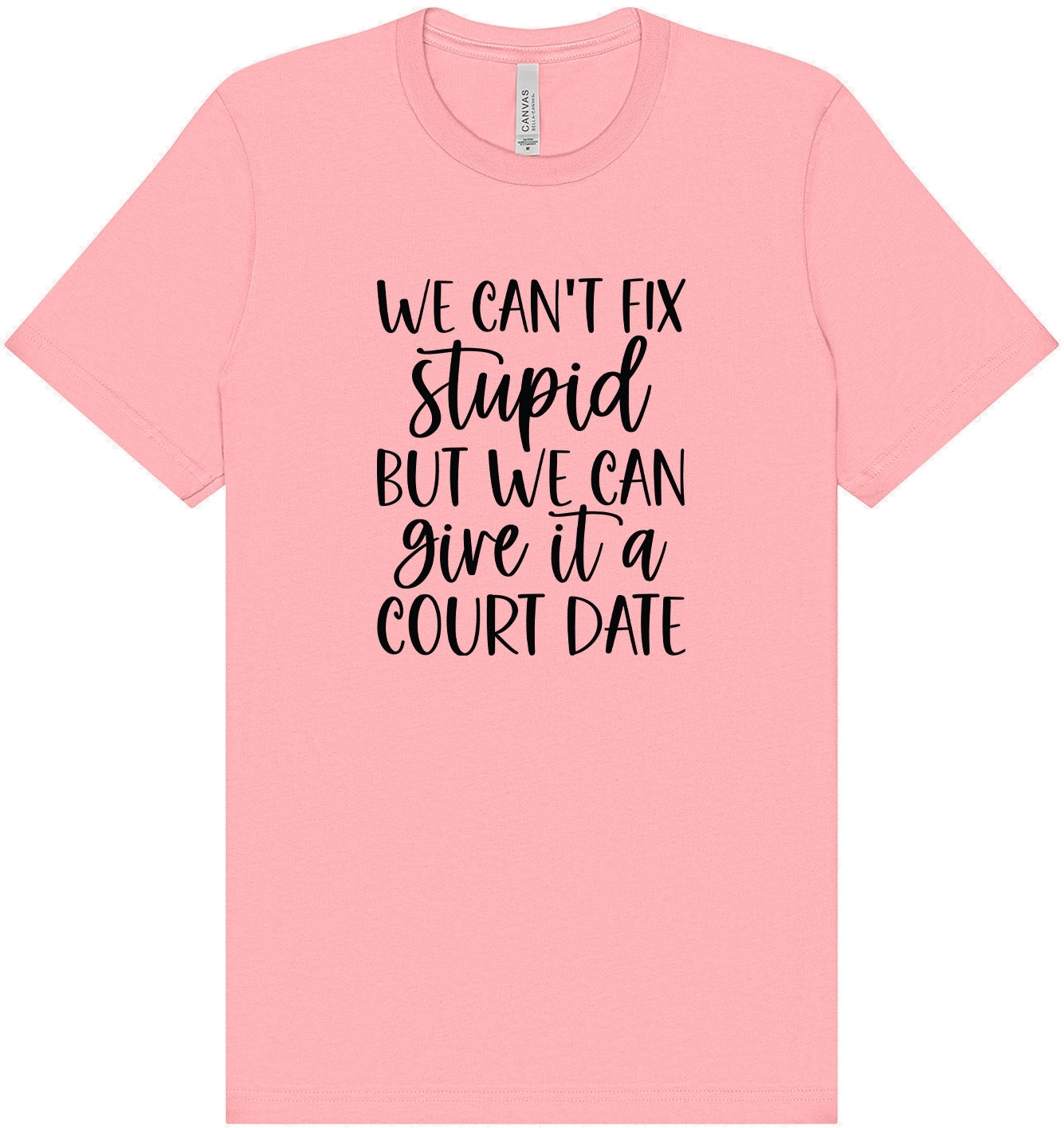 We Can't Fix Stupid but We Can Give it a Court Date Adult Bella Canvas Shirt