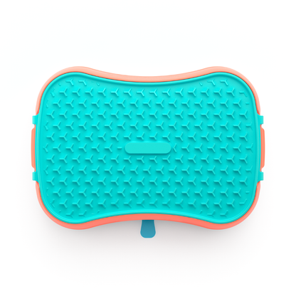 4-In-1 Slow Feeder Dog Bowl