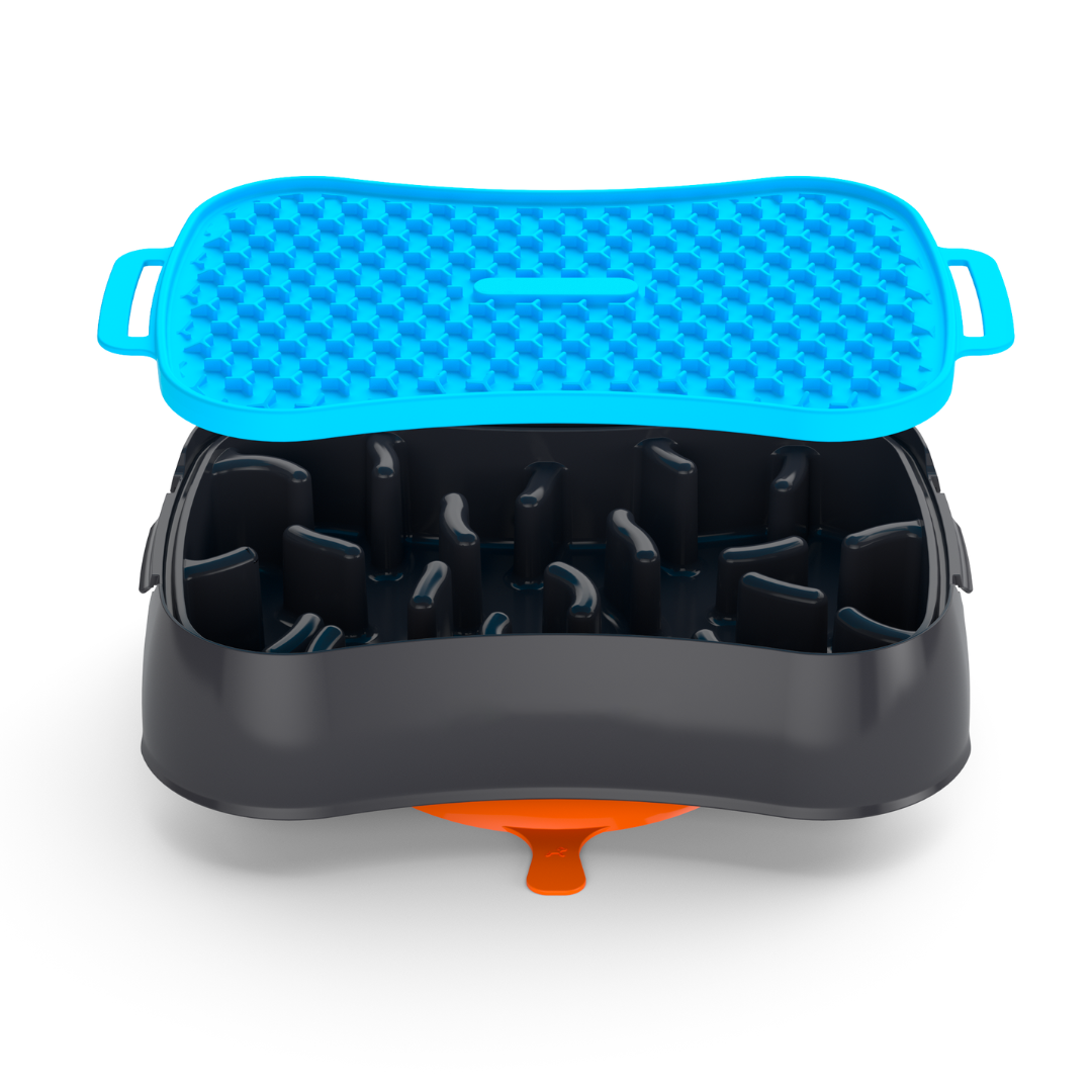 4-In-1 Slow Feeder Dog Bowl