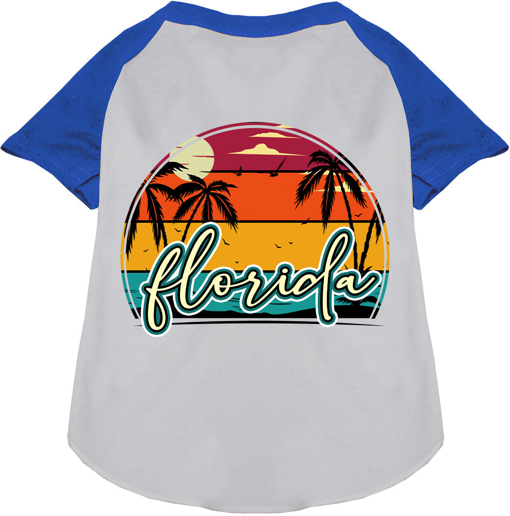Custom Retro Beach Sunset Pet Raglan Shirts