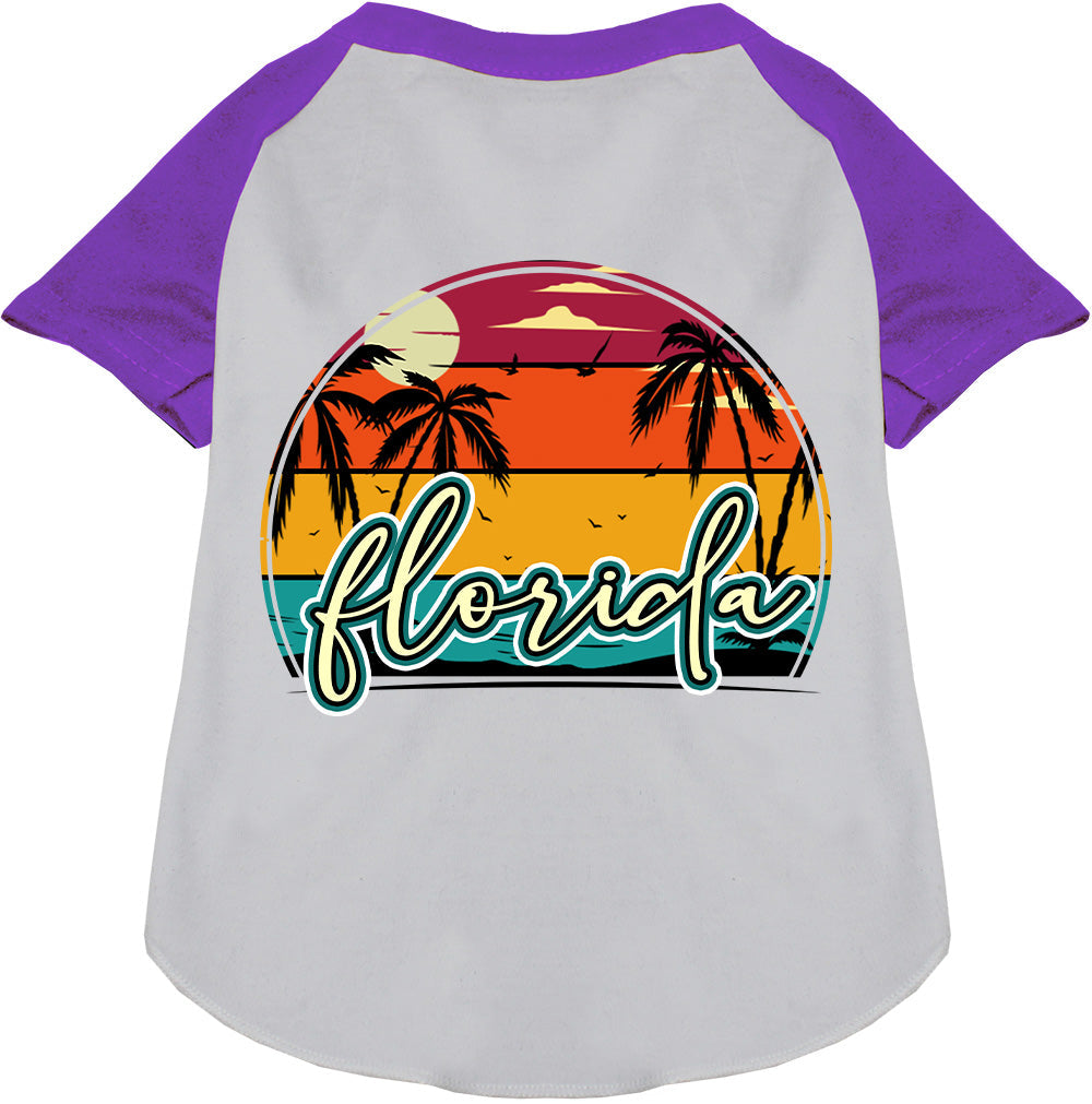 Custom Retro Beach Sunset Pet Raglan Shirts