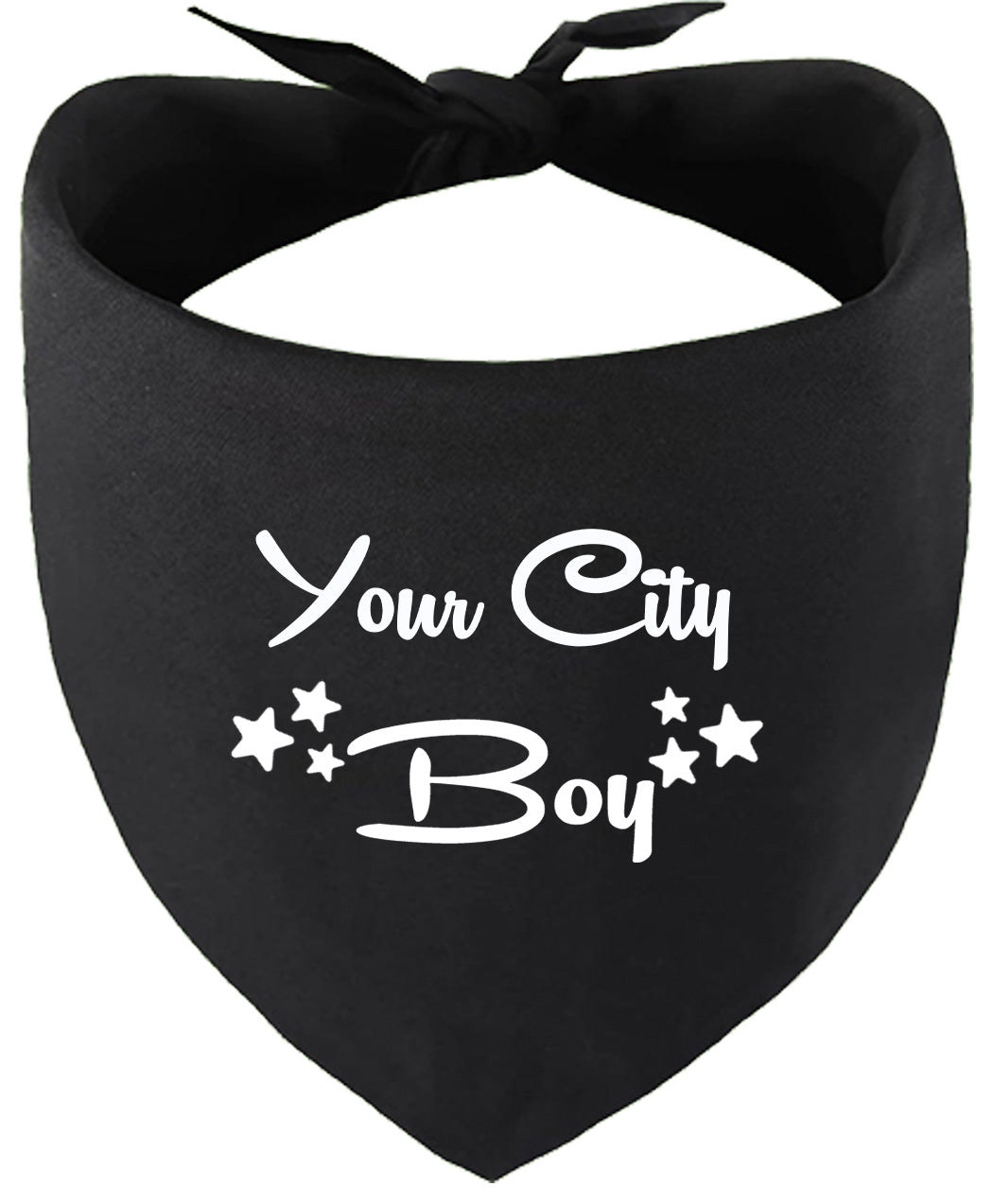 Custom Boy Pet Bandana