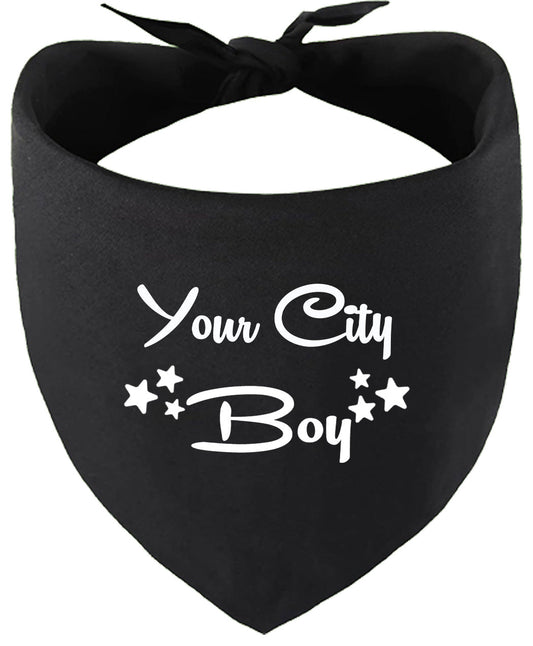 Custom Boy Pet Bandana