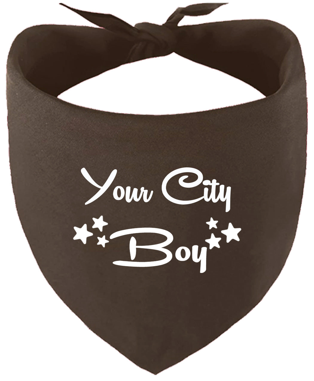 Custom Boy Pet Bandana