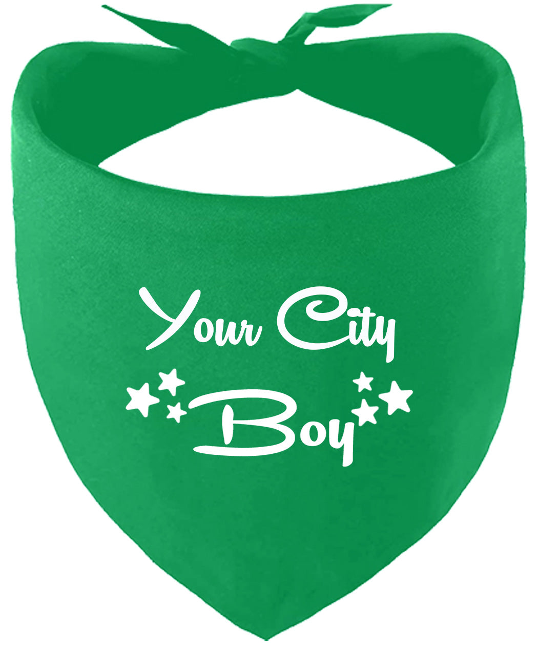 Custom Boy Pet Bandana