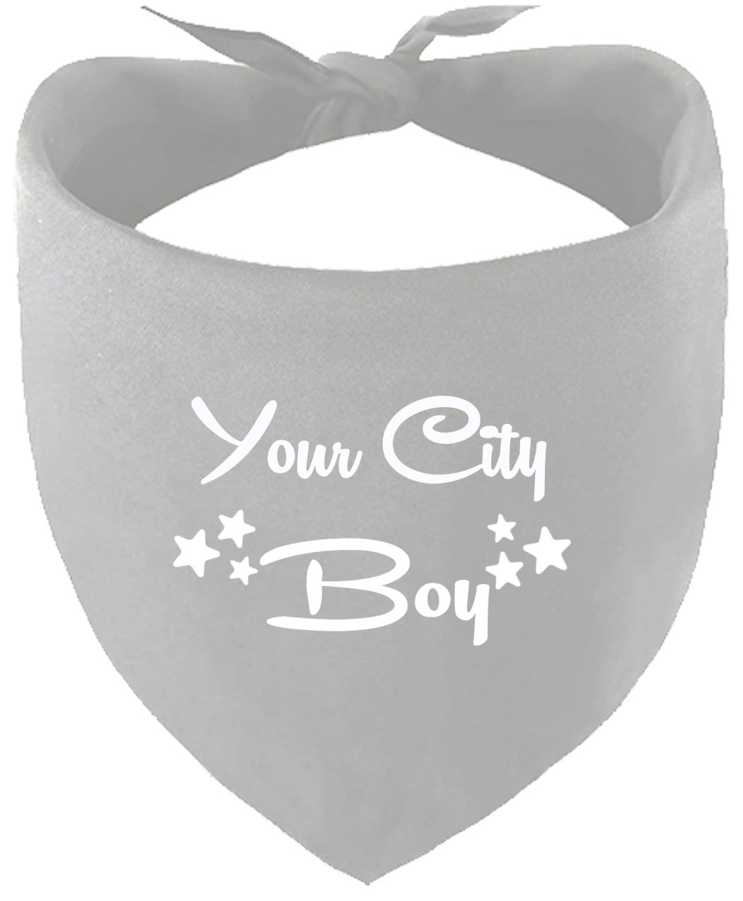 Custom Boy Pet Bandana