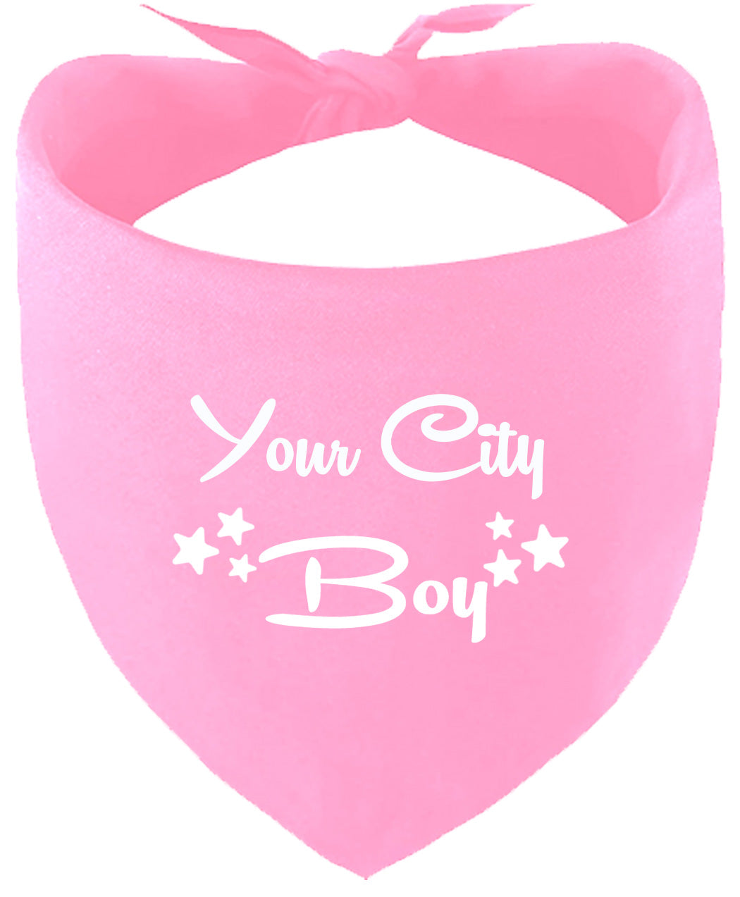 Custom Boy Pet Bandana