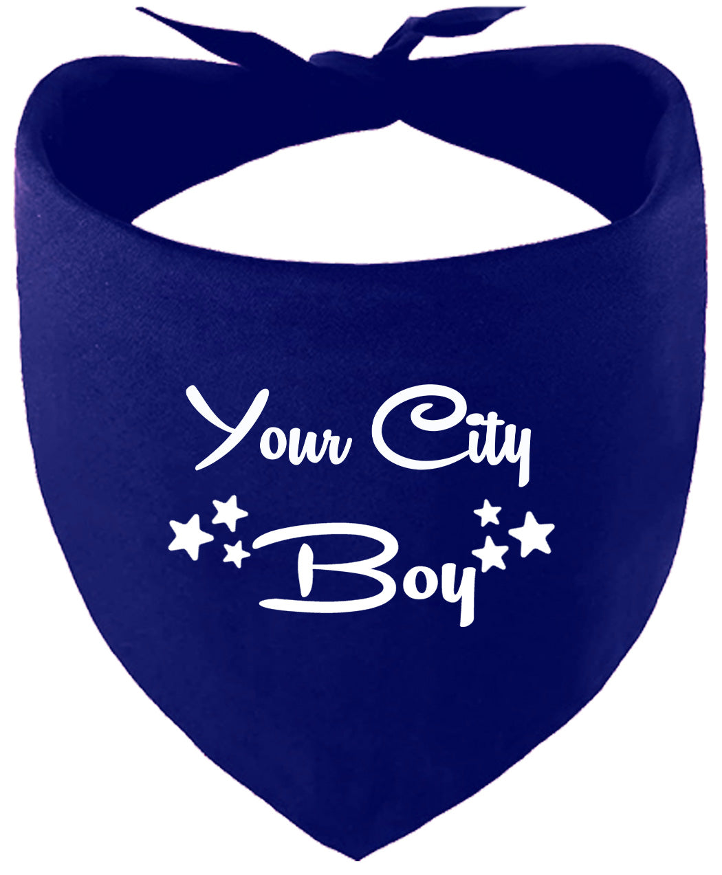 Custom Boy Pet Bandana