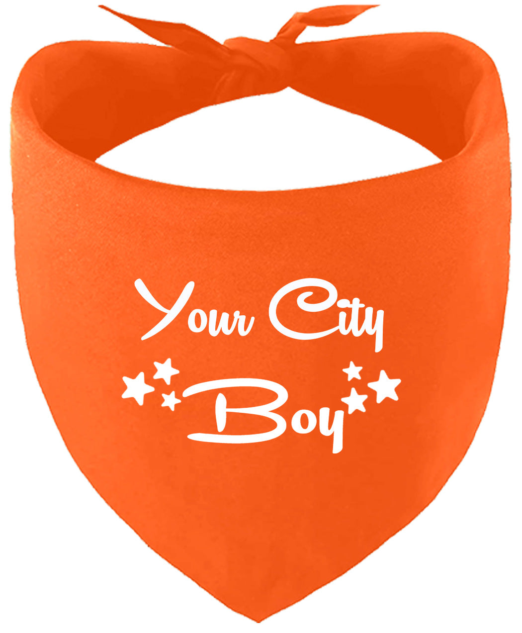 Custom Boy Pet Bandana