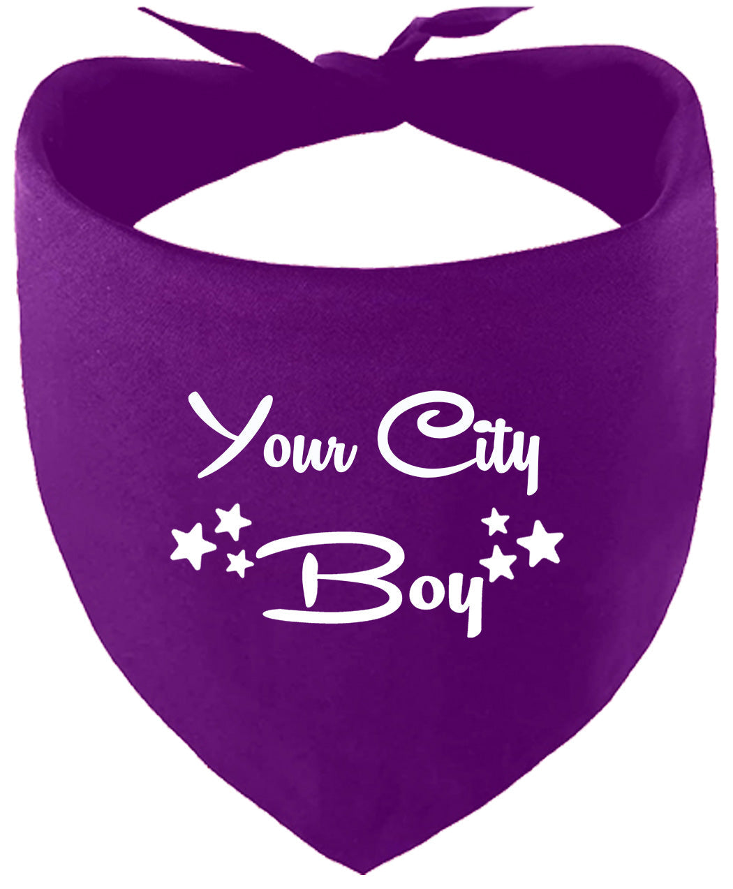 Custom Boy Pet Bandana