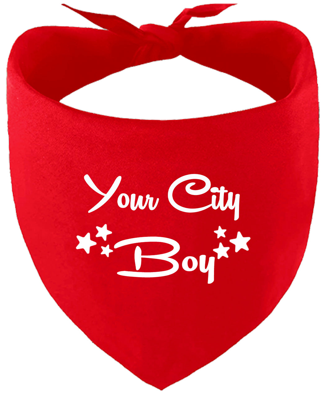 Custom Boy Pet Bandana