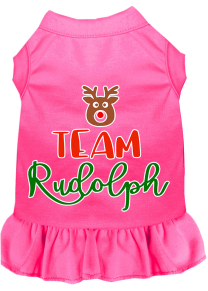 Christmas Pet Dog & Cat Dress Screen Printed, "Team Rudolph"