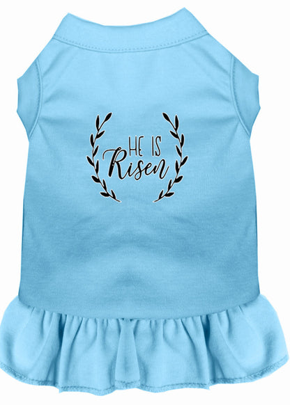 Pet Dog & Cat Dress Screen Printed, "He Is Risen"