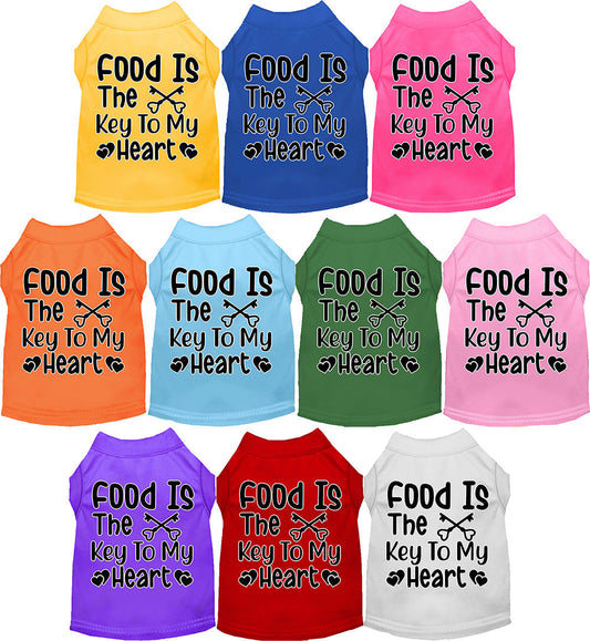 Fun Cat or Dog Shirt for Pets "Food is the Key"