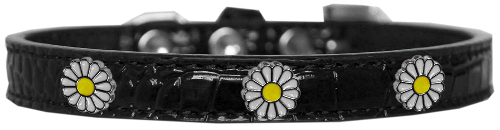 Dog, Puppy & Pet Designer Croc Widget Collar, "White Daisies"