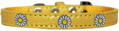 Dog, Puppy & Pet Designer Croc Widget Collar, "White Daisies"