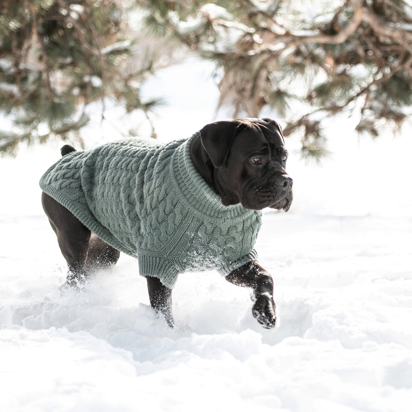 Chalet Sweater - Sage