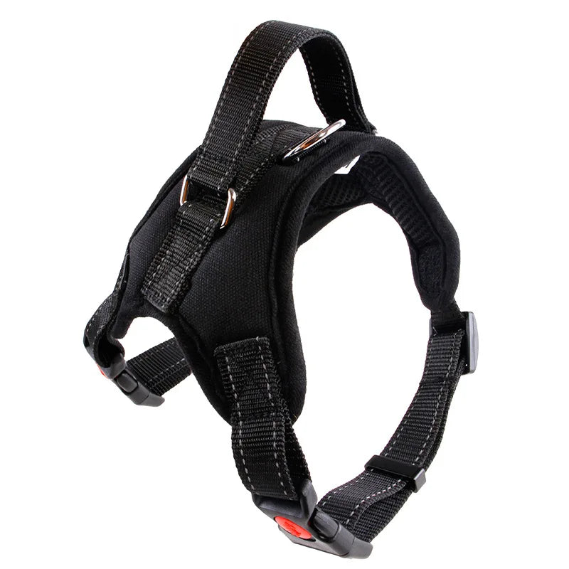 Reflective Mesh Dog Harness & Leash