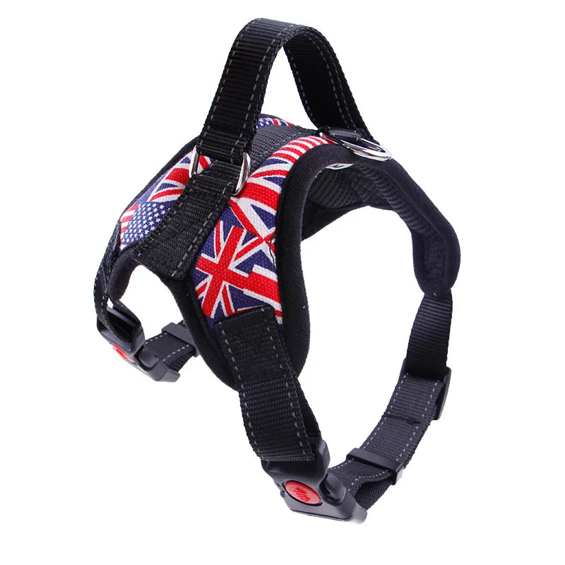Reflective Mesh Dog Harness & Leash