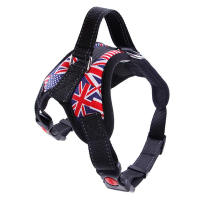 Reflective Mesh Dog Harness & Leash