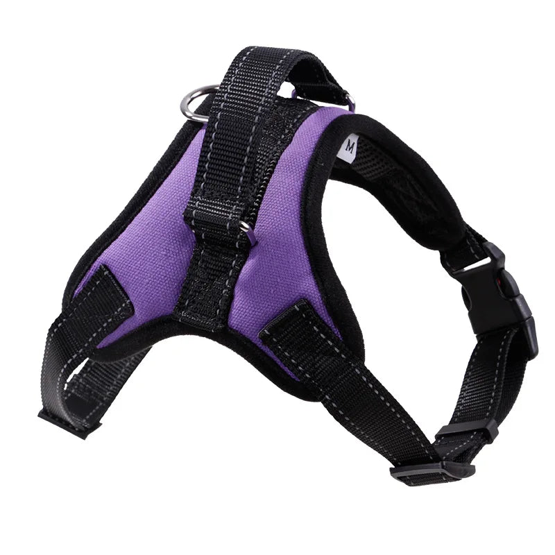 Reflective Mesh Dog Harness & Leash