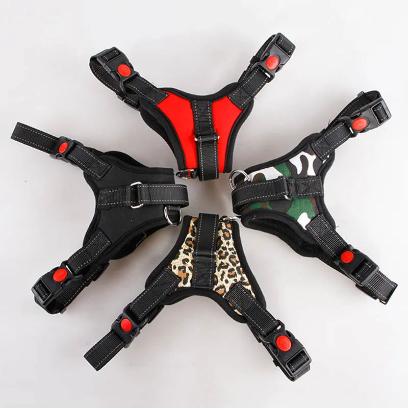 Reflective Mesh Dog Harness & Leash