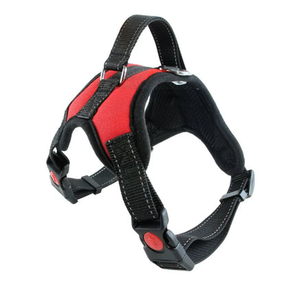 Reflective Mesh Dog Harness & Leash