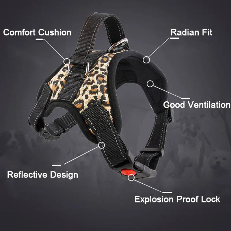 Reflective Mesh Dog Harness & Leash