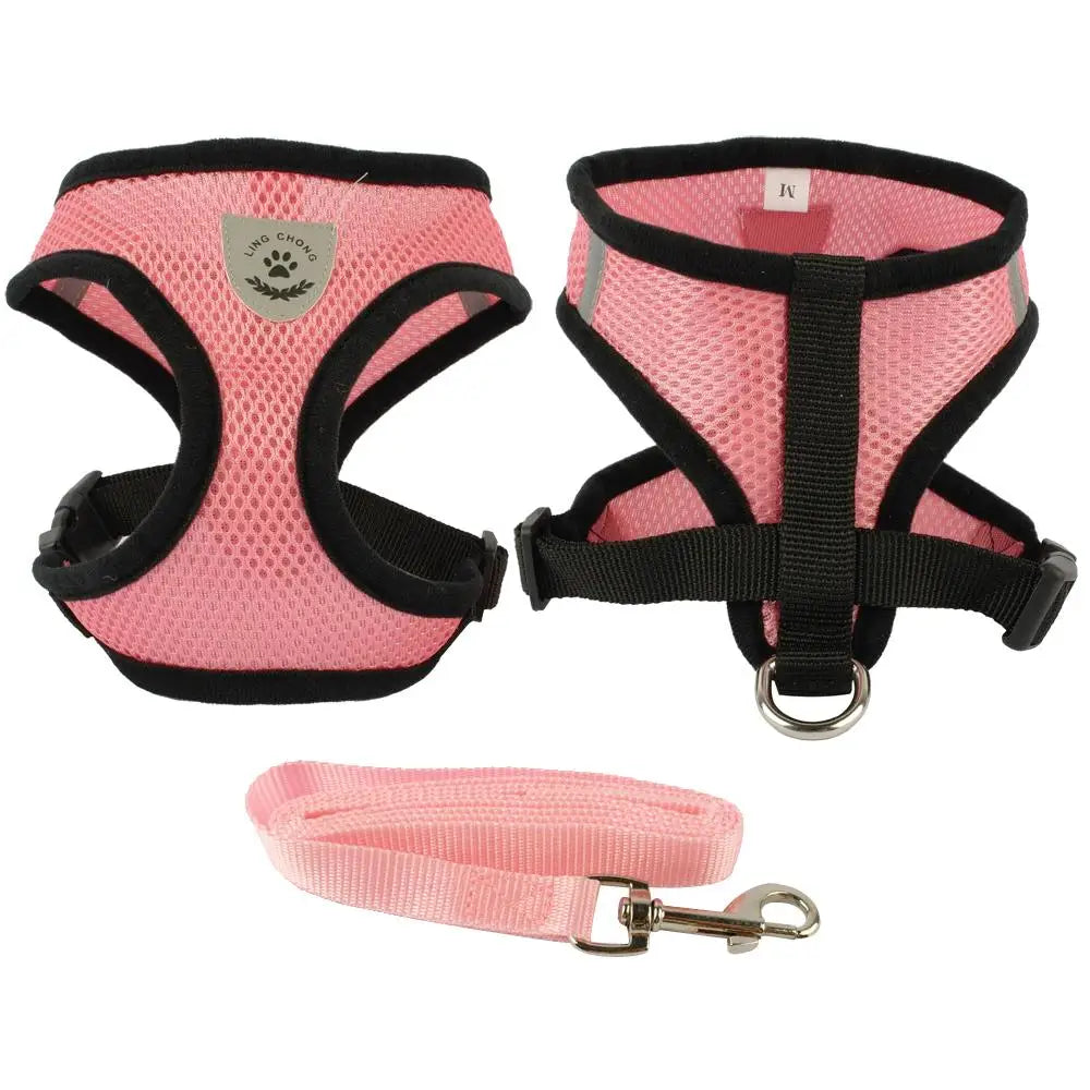 Soft Nylon Mesh Dog Harness and Leash Set