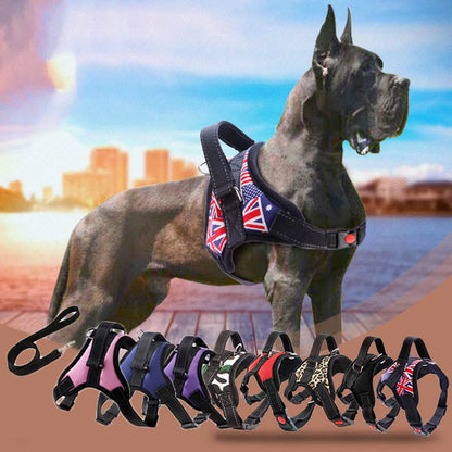 Reflective Mesh Dog Harness & Leash