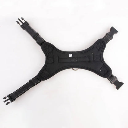 Reflective Mesh Dog Harness & Leash