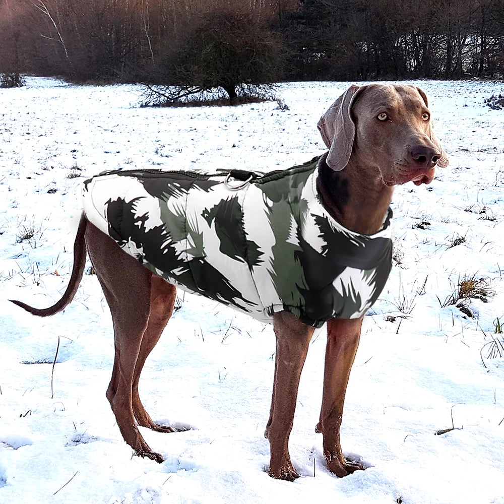 Warm & Waterproof Jacket or Coat for Dogs