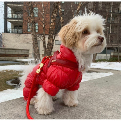 Cherry Red Leather One-Click Dog Harness