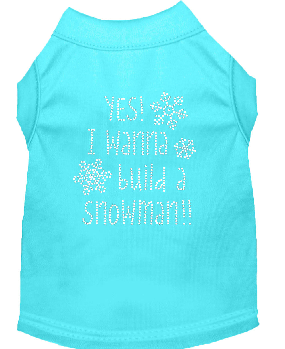 Christmas Pet Dog & Cat Shirt Rhinestone, "Yes, I Want to Build a Snowman"