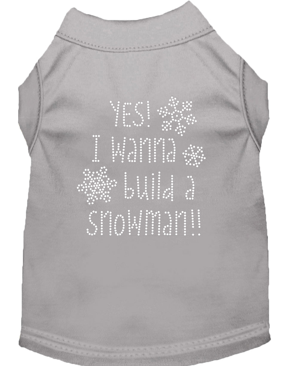 Christmas Pet Dog & Cat Shirt Rhinestone, "Yes, I Want to Build a Snowman"