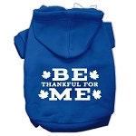 Thanksgiving Pet Dog & Cat Hoodie Screen Printed, "Be Thankful for Me"