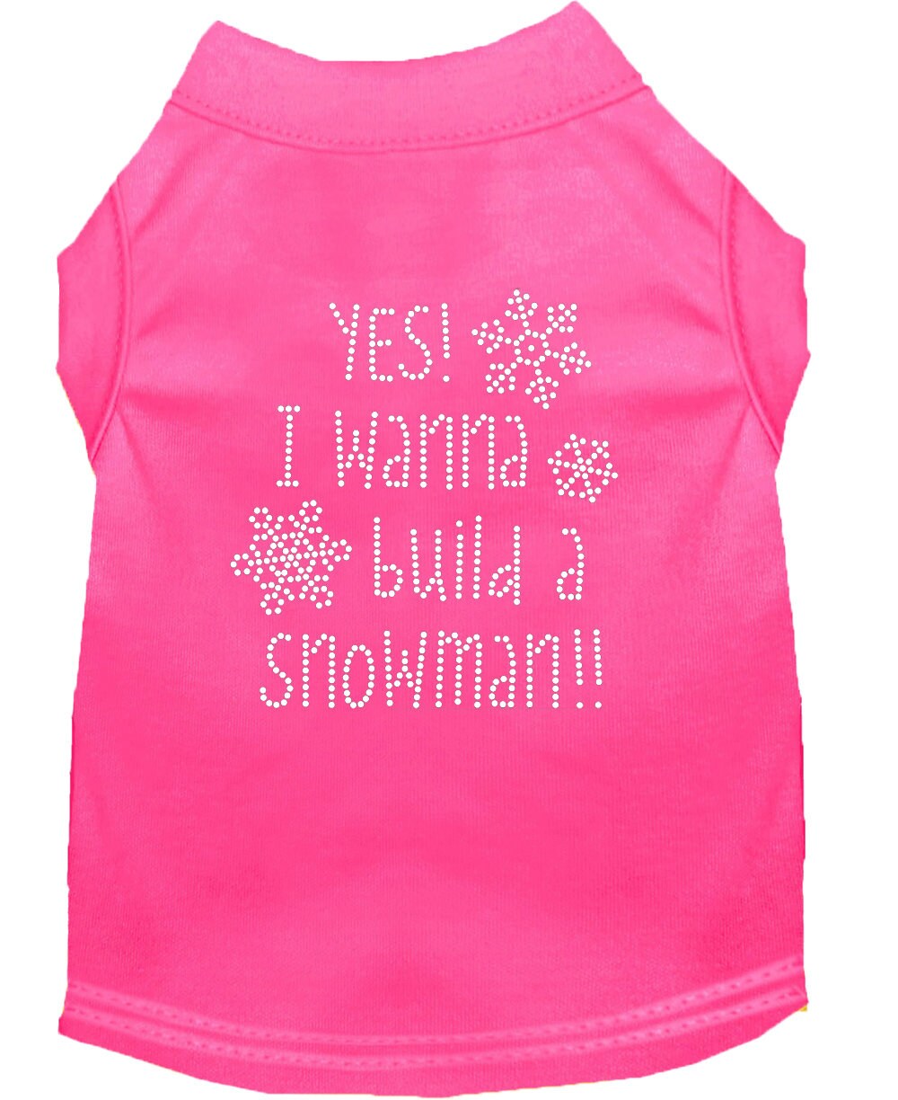 Christmas Pet Dog & Cat Shirt Rhinestone, "Yes, I Want to Build a Snowman"