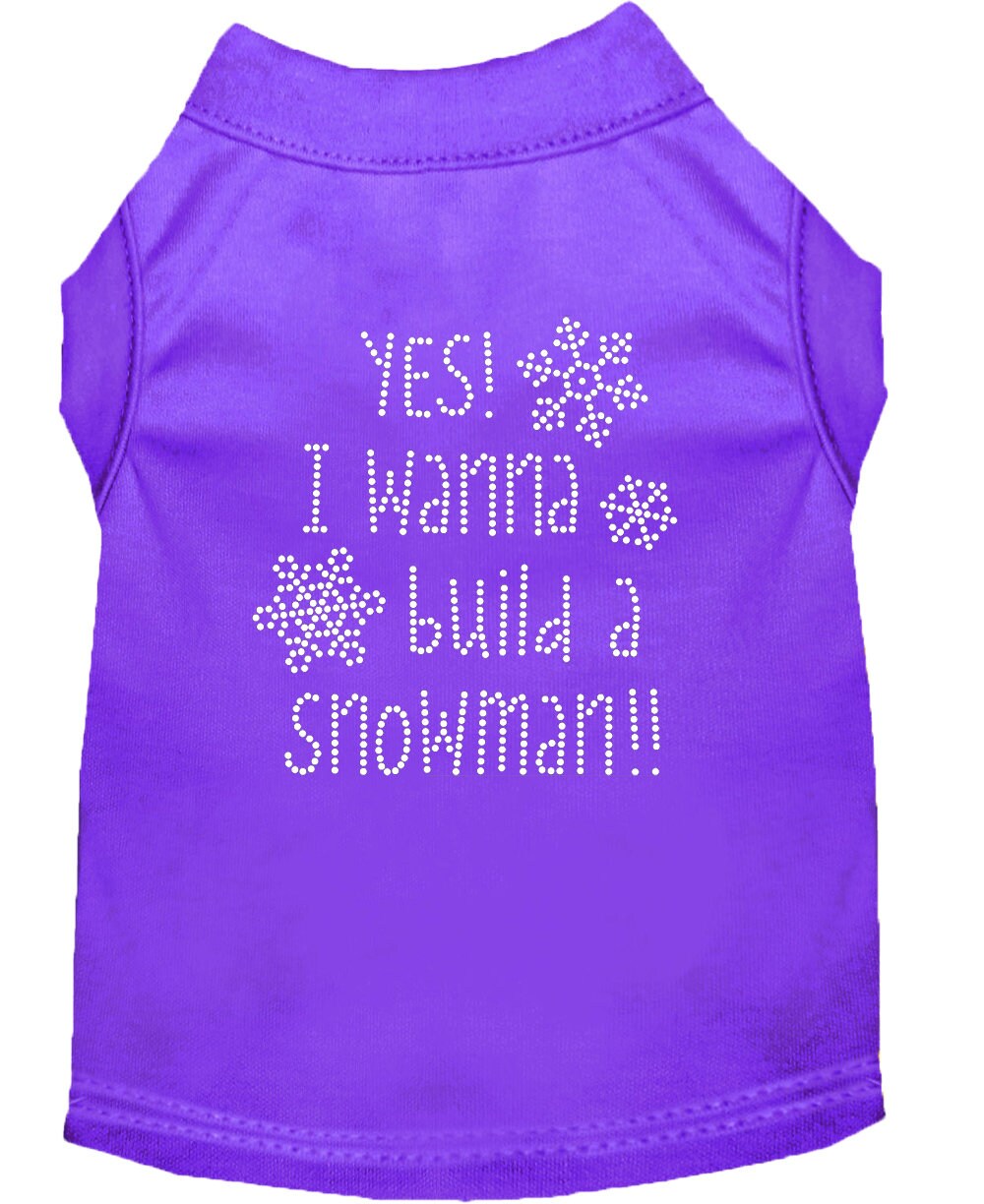 Christmas Pet Dog & Cat Shirt Rhinestone, "Yes, I Want to Build a Snowman"