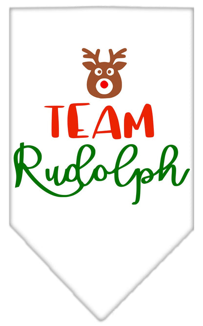 Christmas Pet and Dog Bandana Screen Printed, "Team Rudolph"