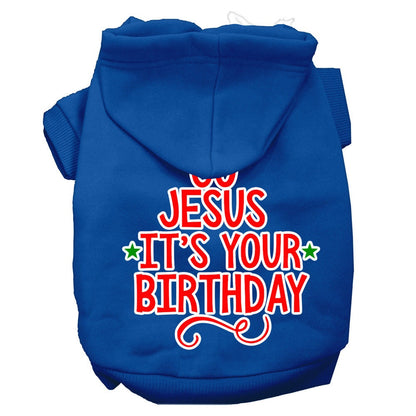 Christmas Pet Hoodie "Go Jesus, It's Your Birthday"
