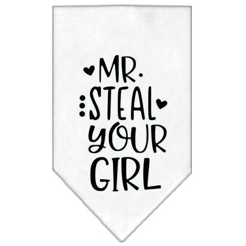 Pet and Dog Bandana Screen Printed, "Mr. Steal Your Girl"