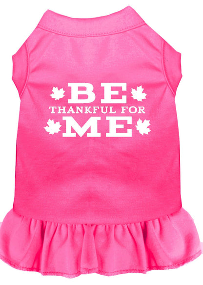 Pet Dog & Cat Dress Screen Printed, "Be Thankful For Me"