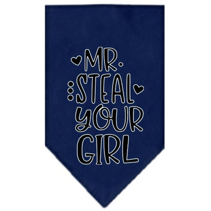 Pet and Dog Bandana Screen Printed, "Mr. Steal Your Girl"