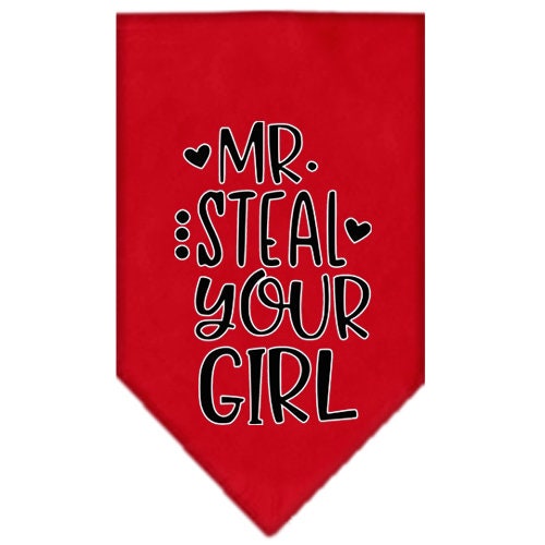 Bandana para mascotas y perros con serigrafía "Mr. Steal Your Girl"