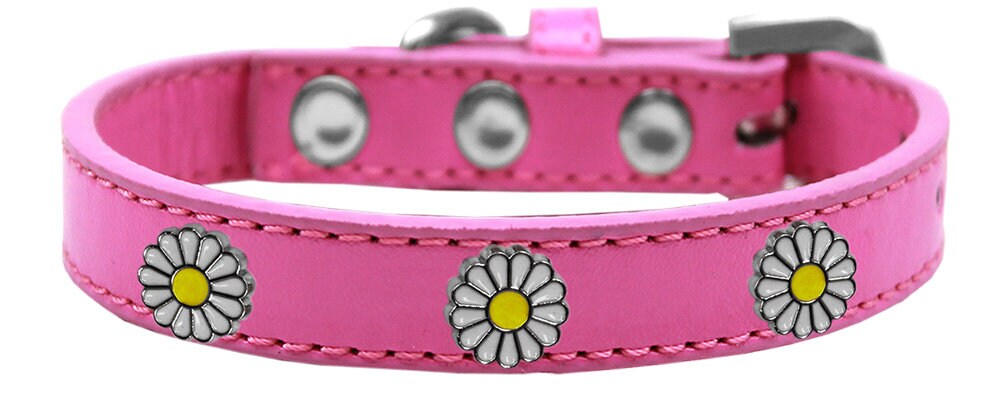 Dog, Puppy and Pet Widget Fashion Collar, "White Daisies"