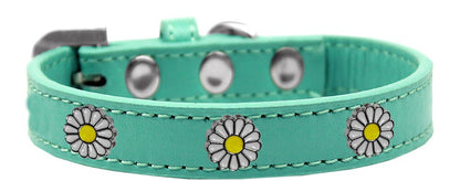 Dog, Puppy and Pet Widget Fashion Collar, "White Daisies"