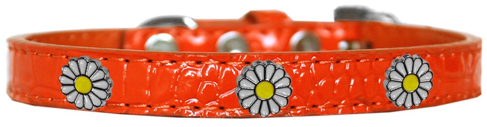 Dog, Puppy & Pet Designer Croc Widget Collar, "White Daisies"